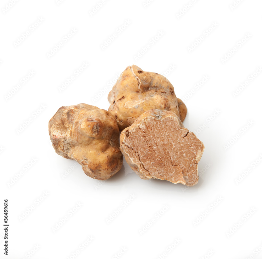 tartufo bianco tartufo bianco