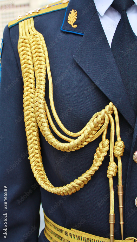 Aiguillettes on the background of his jacket
