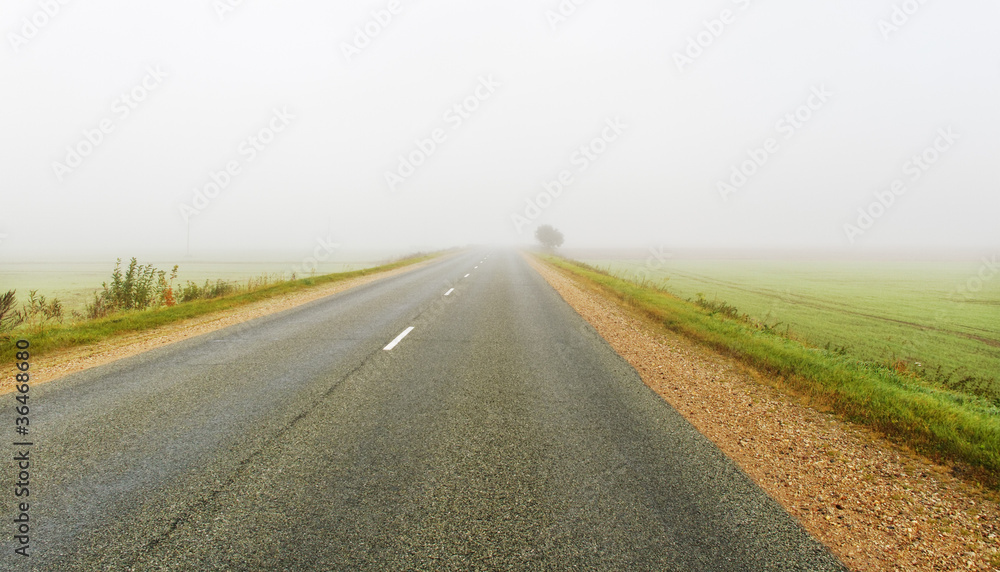 Fototapeta premium Mist on a road.