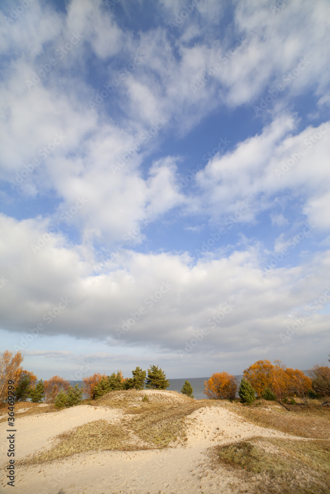 Fototapeta premium Dunes and sky.