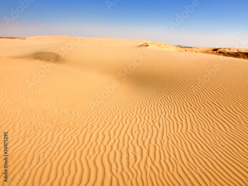 Sand dunes landscape © Željko Radojko