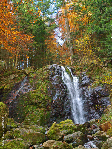 CASCADE DANS LA FORÊT