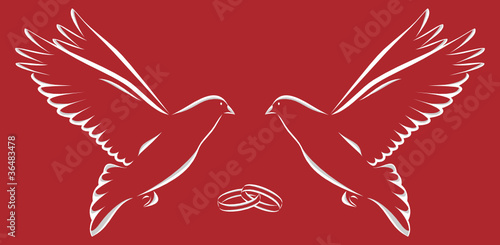 Zwei Tauben mit zwei Ringen Hochzeit roter Hintergrund
