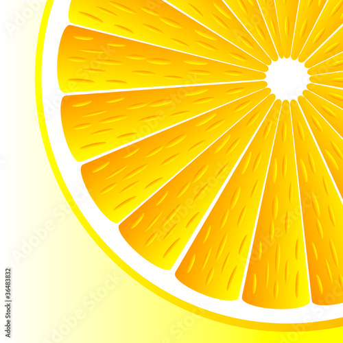 Vector background with oranges