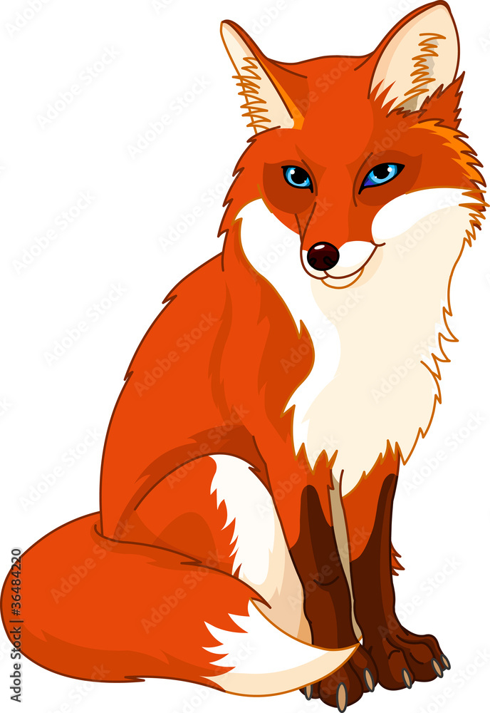 Cute  fox