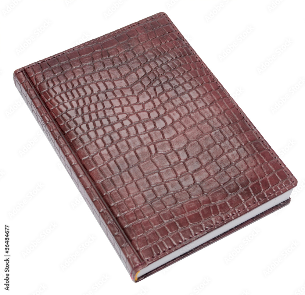 diary diary