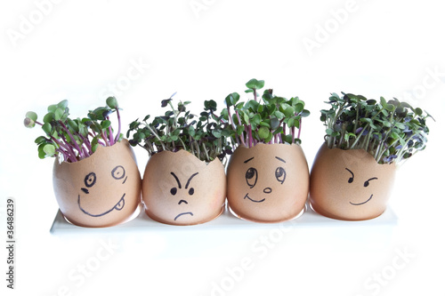 Fotografia Cress Heads