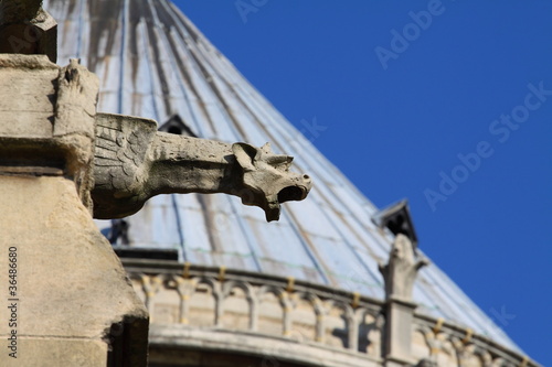 Notre Dame Cathedral - Paris