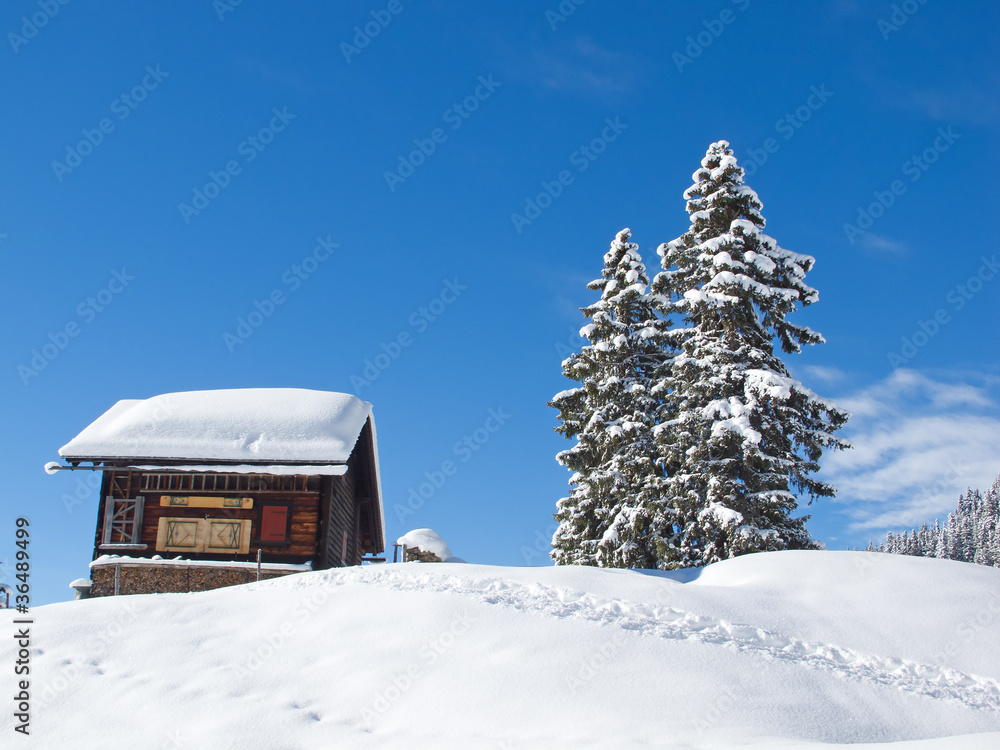 Winter in alps