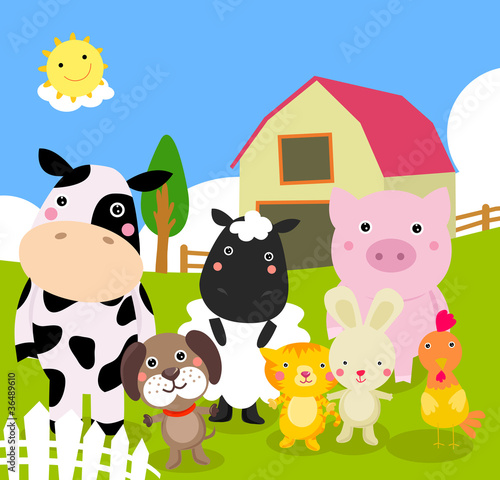 farm animal