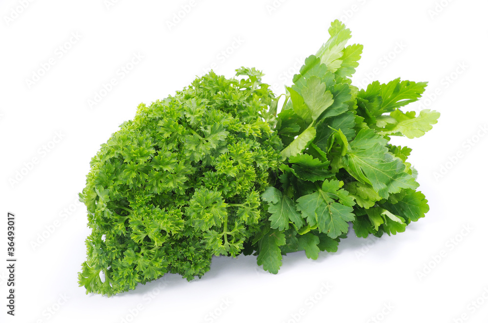 Obraz premium parsley