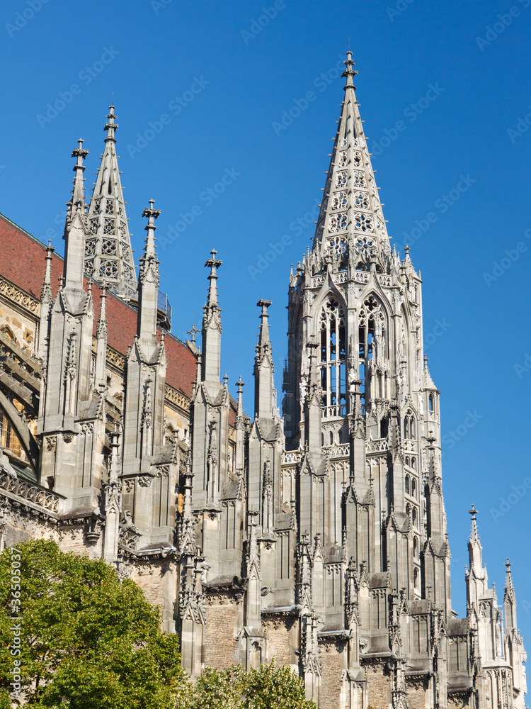 Obraz premium Ulm Minster (Ulmer Muenster), Germany
