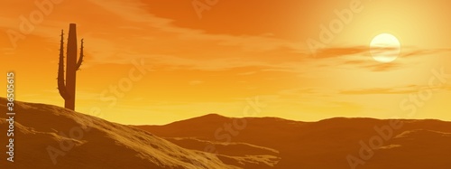 Sunset in the desert photo