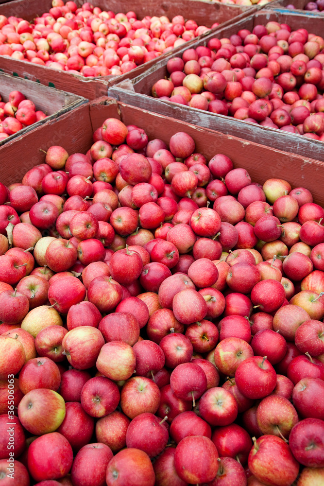 Market Fruit Market Fruit