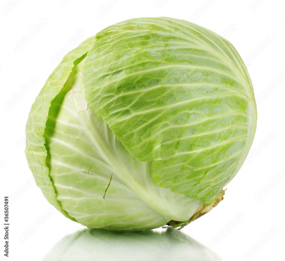 whole green cabbage isolated on white whole green cabbage isolated on white