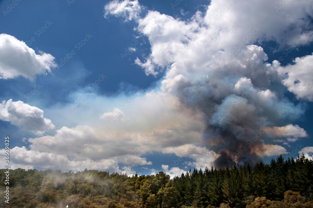 Waldbrand im Wai-o-Tapu Geothermal Gebiet