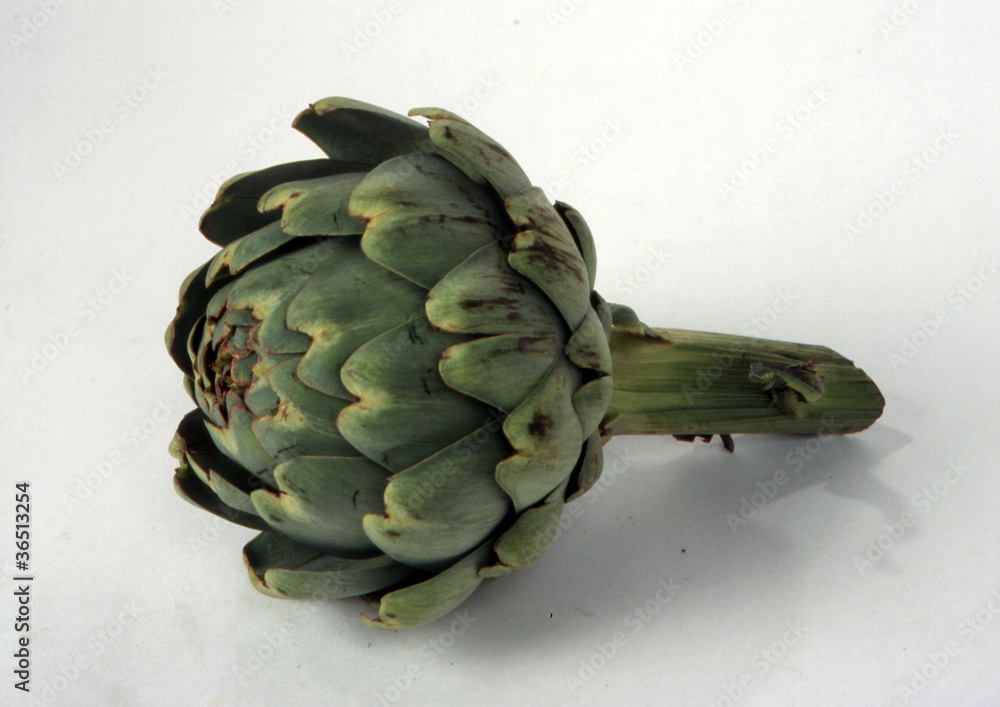 Obraz premium Artischocke