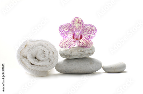 pink orchid on stones with roller towel