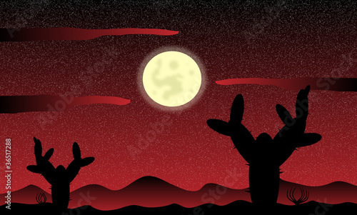Mexico desert night with cactus plants