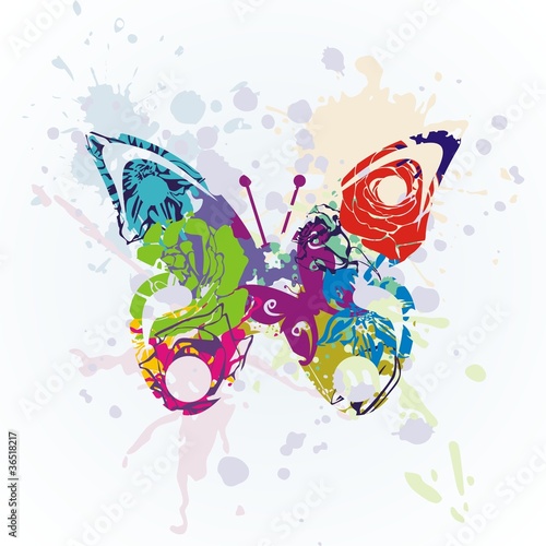 vector butterfly