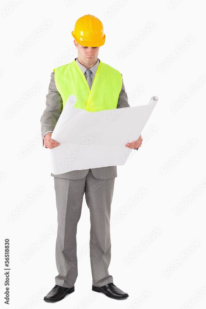 Portrait of an architect looking at a plan Portrait of an architect looking at a plan