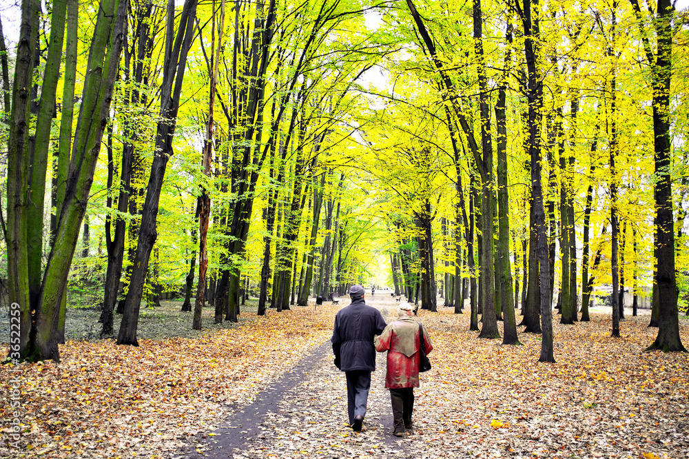 Senior couple in the park