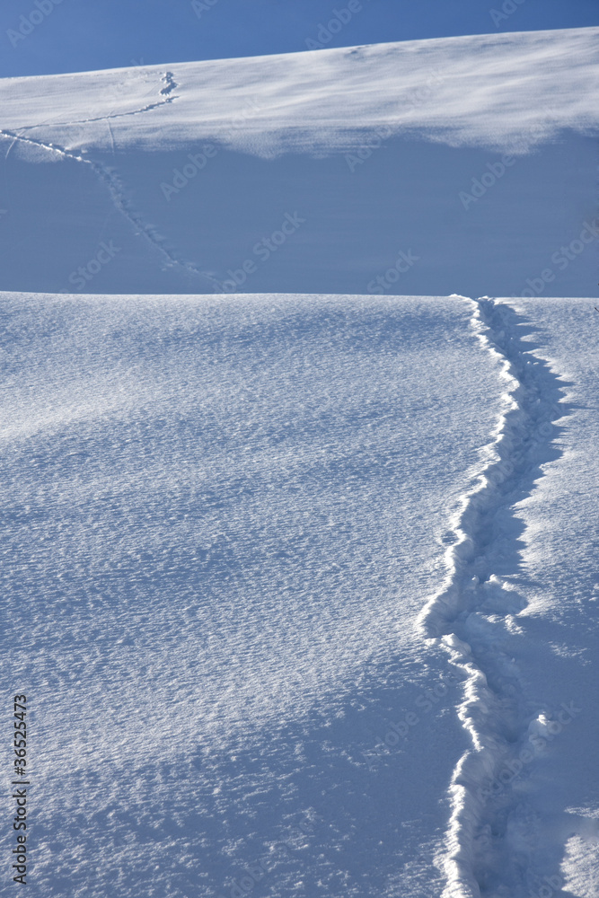 footprints in a snowy landscape