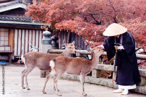 Buddhist monk and two deers