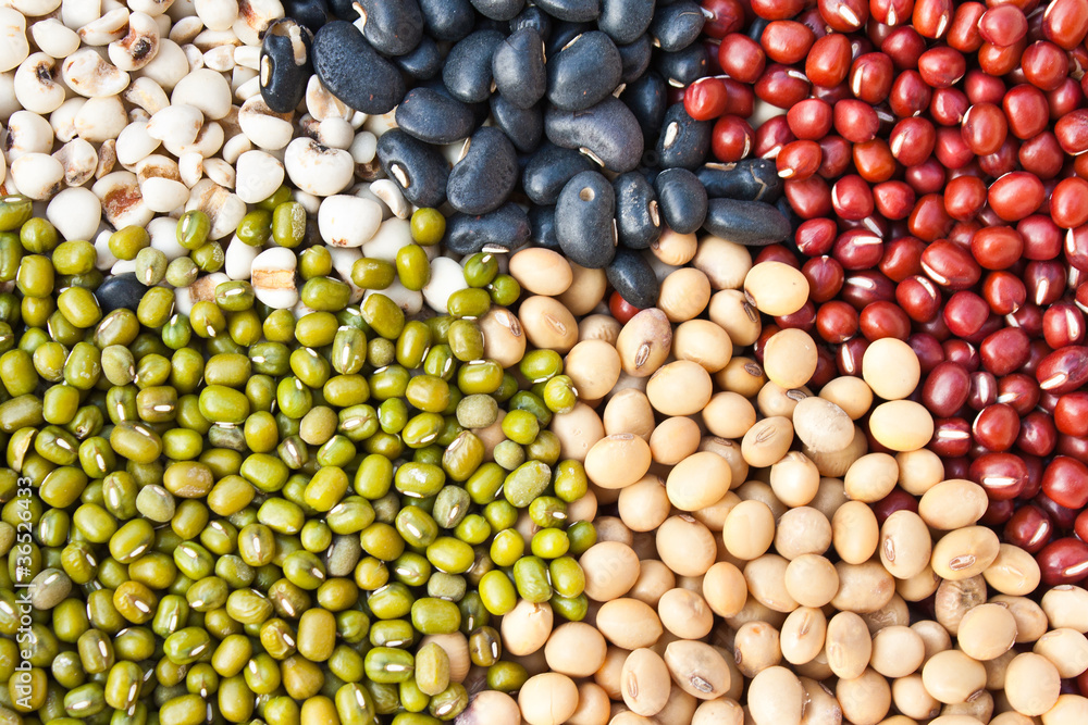 Various colorful dried legumes beans as background Various colorful dried legumes beans as background