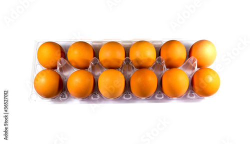 Dozen of the egg at the plastic tray.