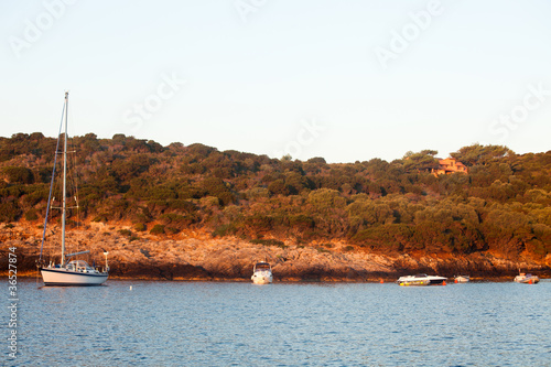 Spalmatoi Gulf At Sunrise - Giannutri Island, Italy photo