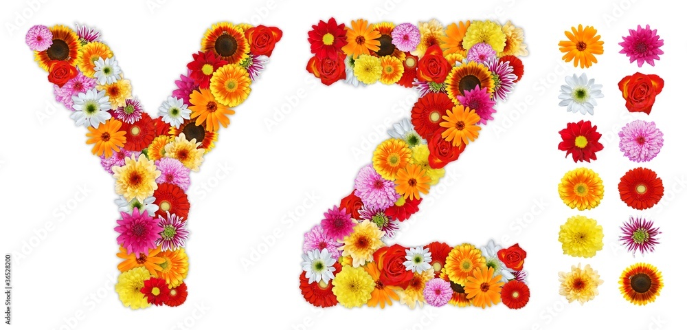 Characters Y and Z made of various flowers Characters Y and Z made of various flowers
