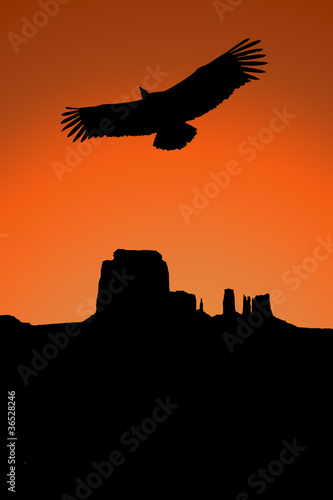 coucher de soleil, monument valley, illustration