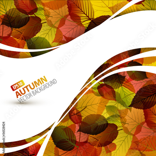 Colorful vector autumn background