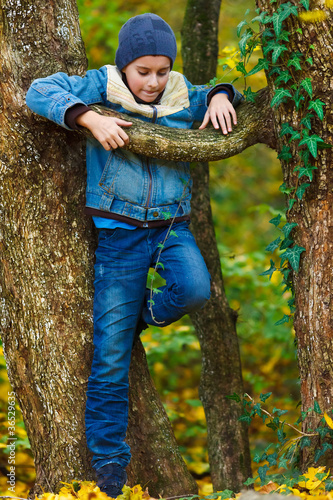 Kid climbing in a tree