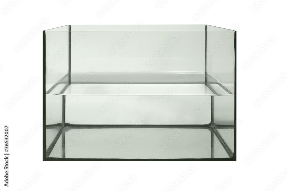 custom made wallpaper toronto digitalhalf filled aquarium