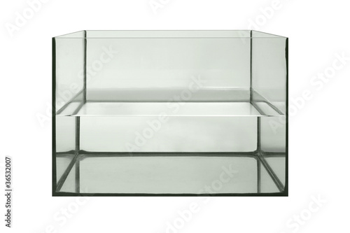 Wallpaper Mural half filled aquarium Torontodigital.ca