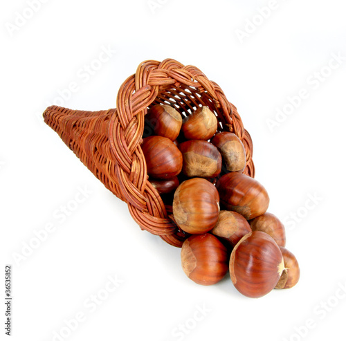 Quadro em tela Castagne fortunate