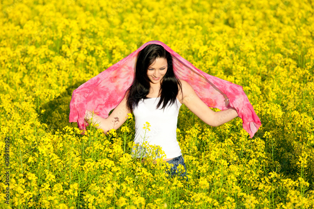 Summer Meadow Summer Meadow