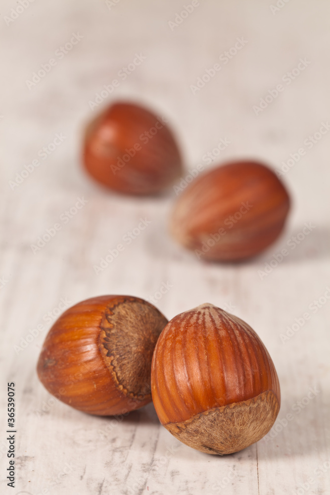 Obraz premium Hazelnuts