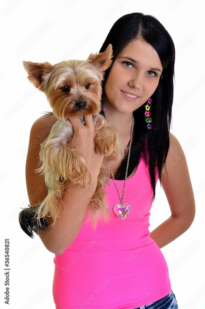 Plan d'une femme adulte jeune chien Yorkshire Terrier Plan d'une femme adulte jeune chien Yorkshire Terrier