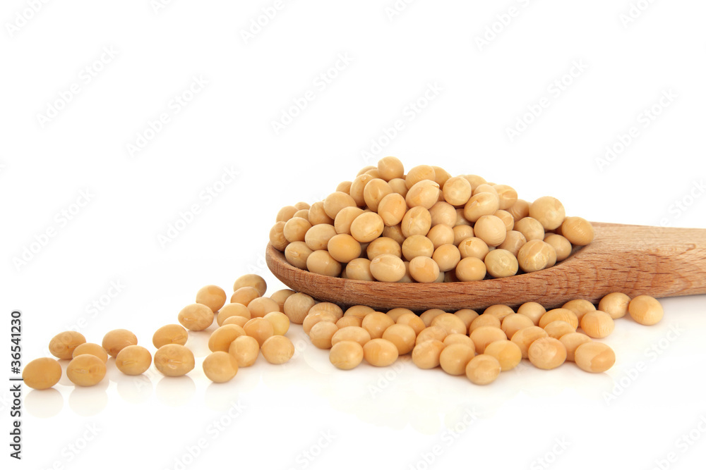 Soya Beans Soya Beans