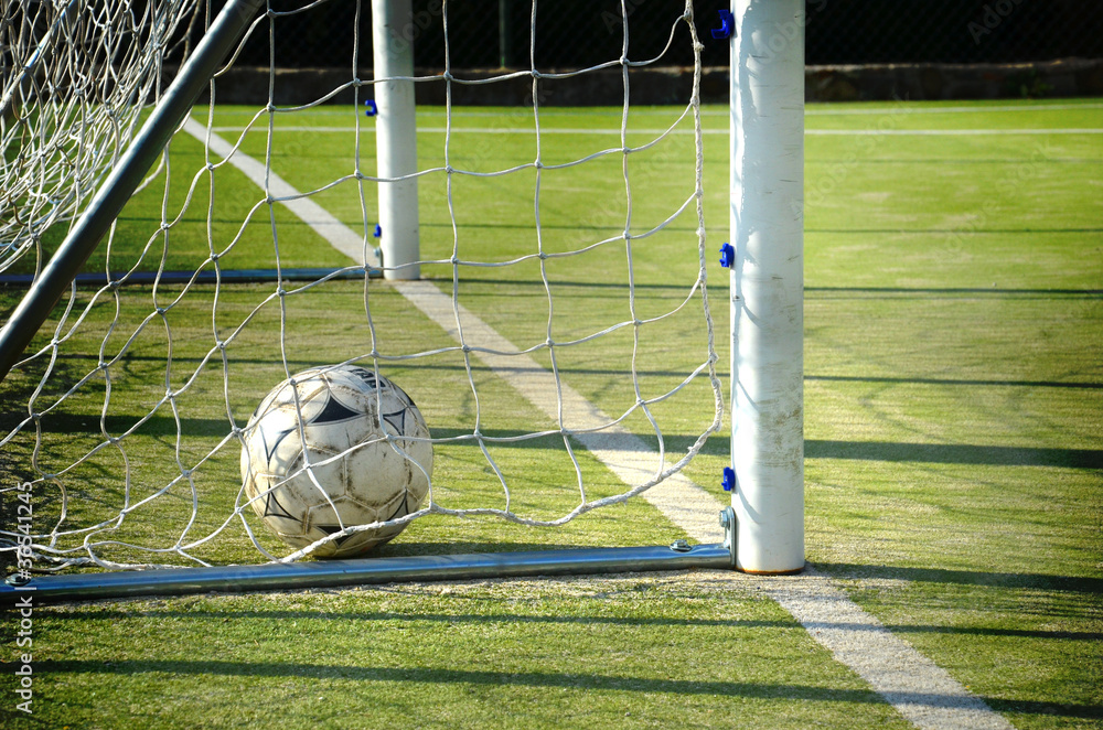 Fototapeta premium Fußball im Tor