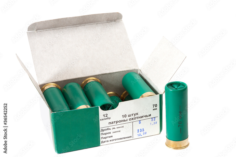 Hunting ammunition