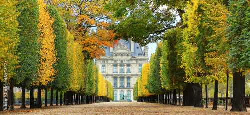 Autumn in Paris © Brian Jackson