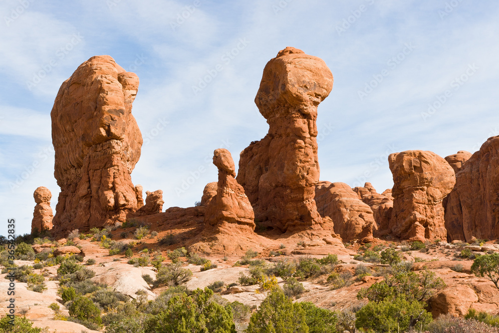 Fototapeta premium Natural sculptures in Arches National Park, Elephants.
