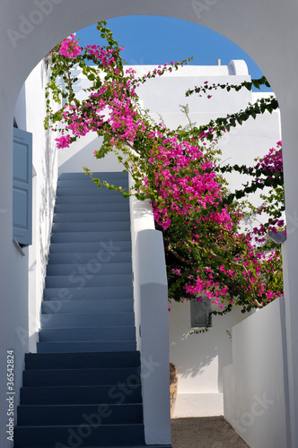 Beautiful stairs and bougainvillea in Greece