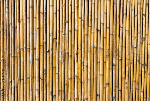 Fototapeta Naklejka Na Ścianę i Meble -  Bamboo walls.