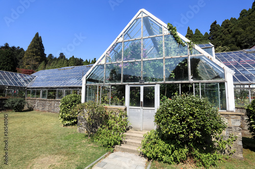 greenhouse © chungking