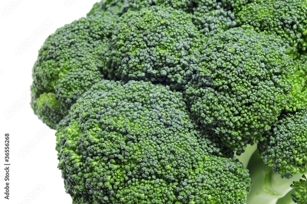 broccoli broccoli